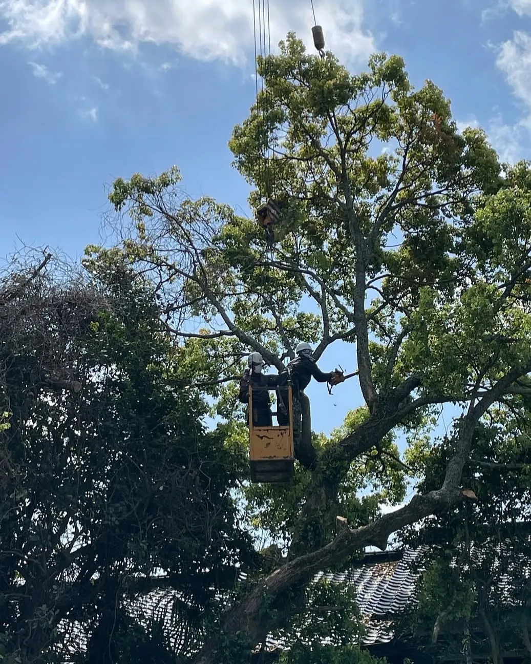 #章耀株式会社 #建設業 #土木工事 #インフラ整備 #地域...