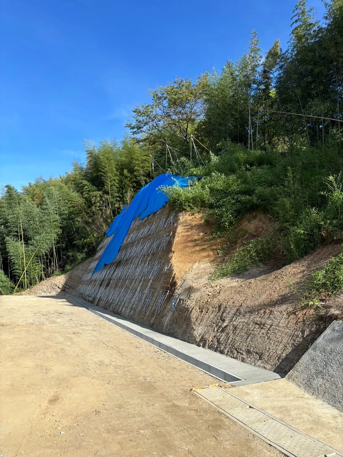 お疲れ様です🍵