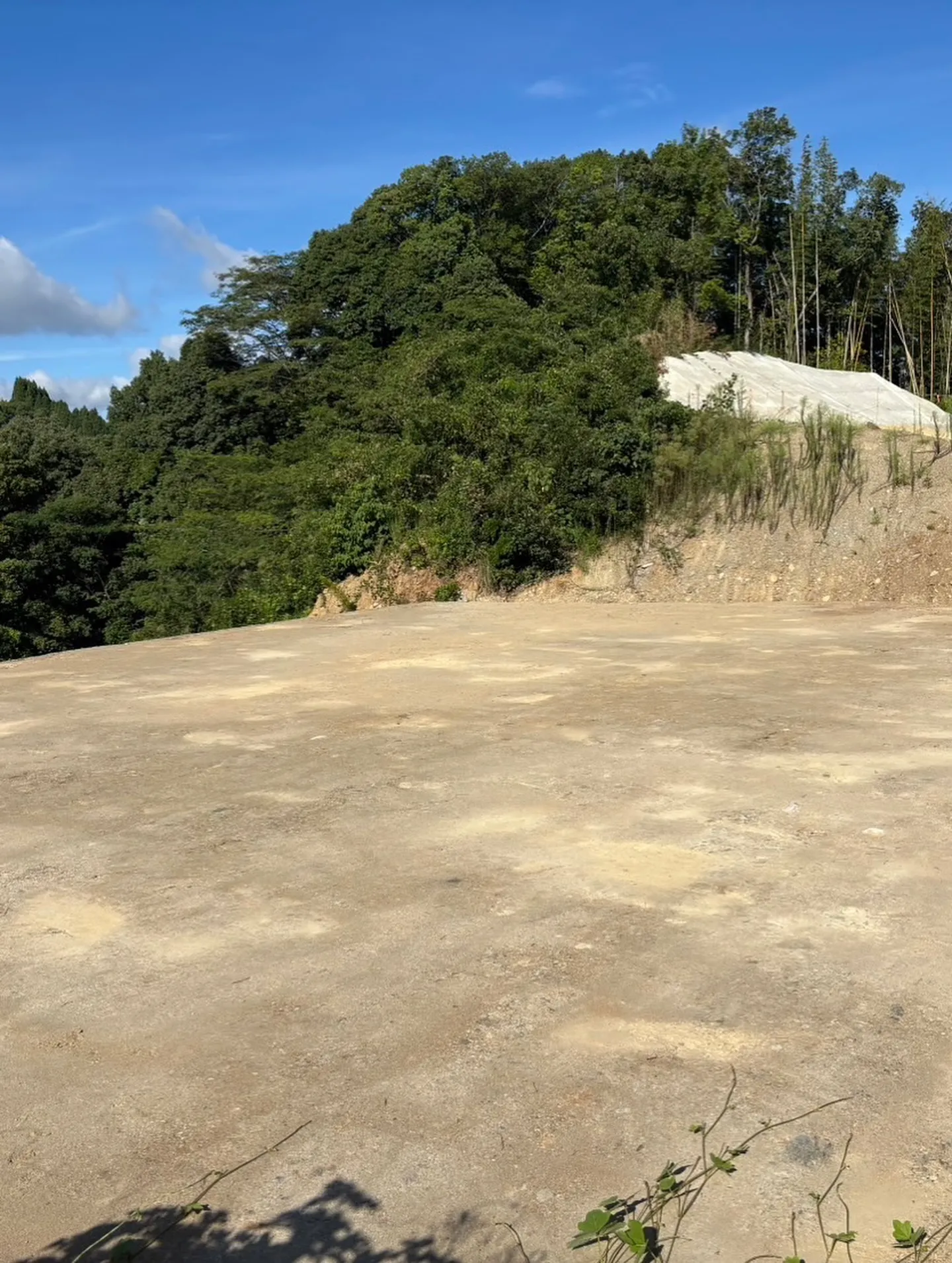 お疲れ様です🍵