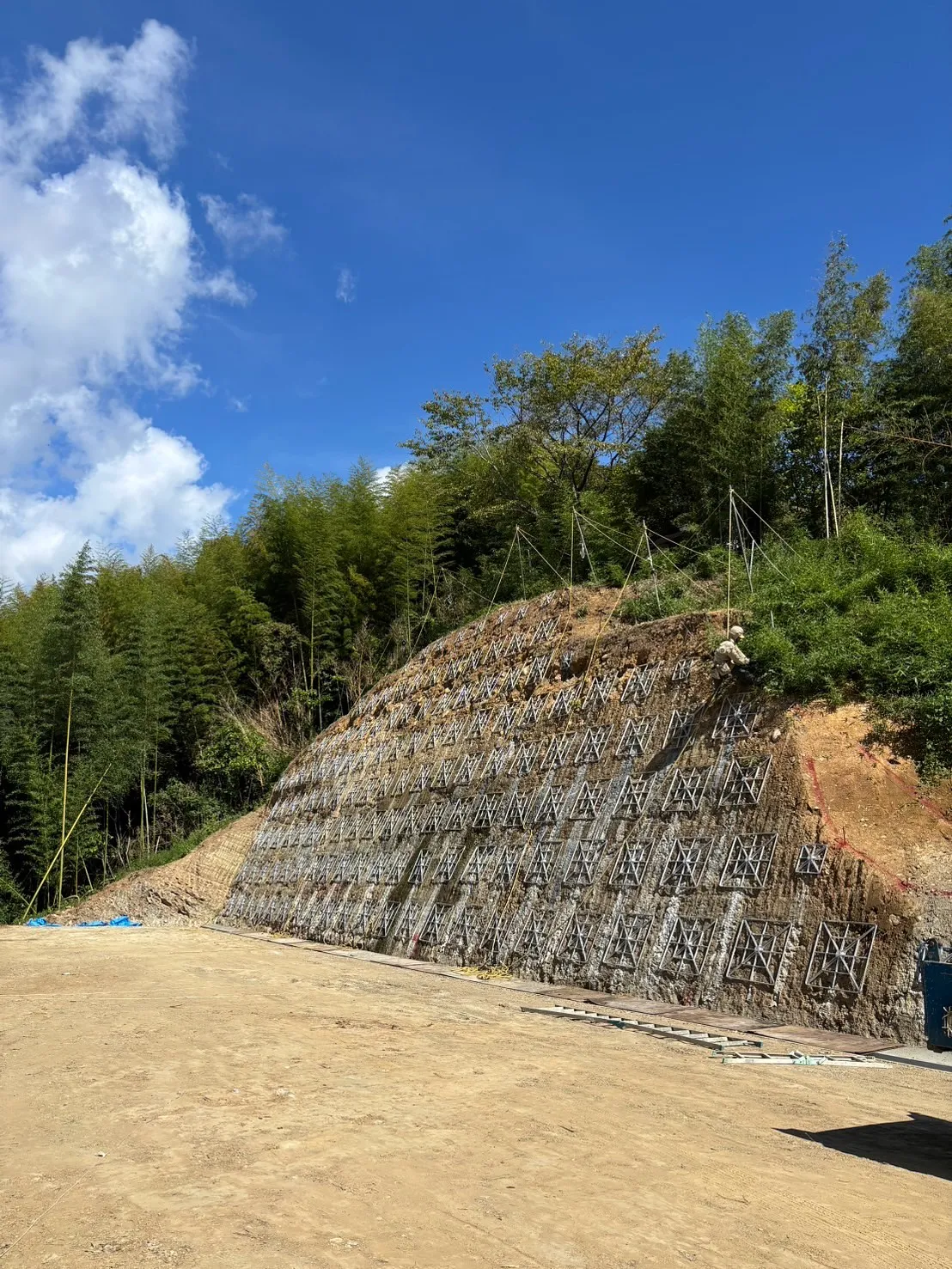 お疲れ様です🍵
