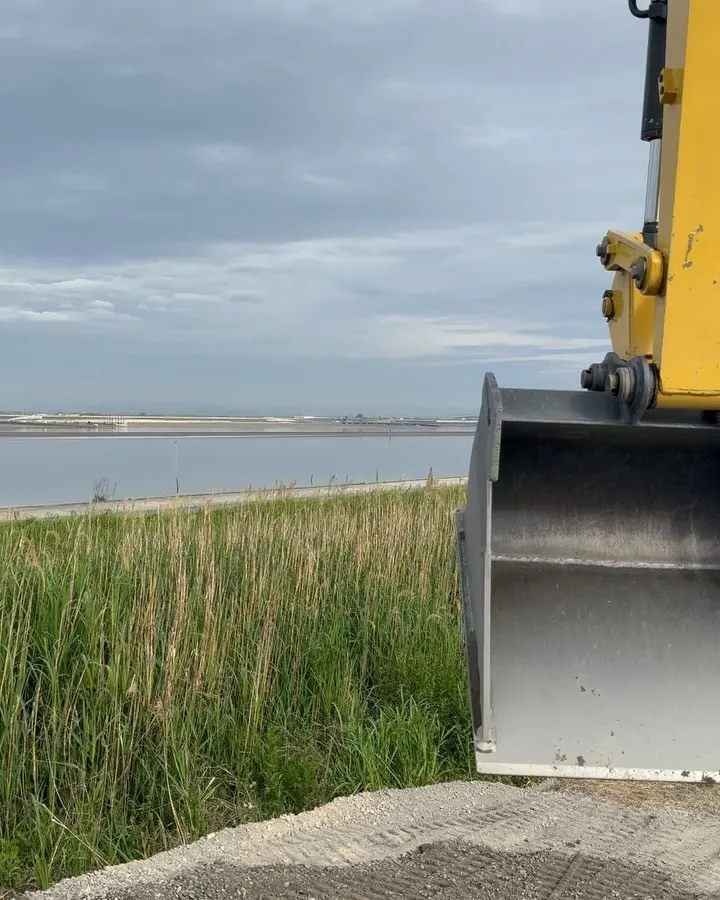 長閑だな〜、、、